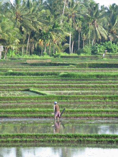 FarmerHarrowing1