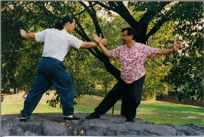  H. Won Gim, Tai chi Chuan master, and Rene doing sanshou/2-man sparring set in Central Park. Gim shifu has a school in Chinatown NYC.Check his classes on the internet. 