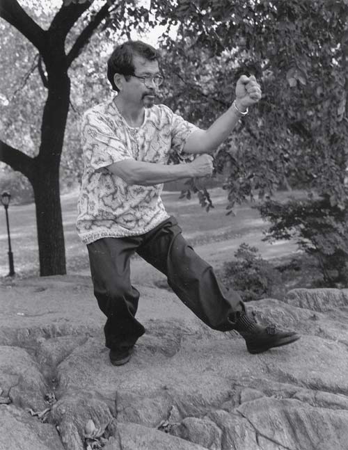 "Fist under the elbow" posture from the old Tai chi chuan Chang Chuan form. It's taught after 5 years of training. Please see the article about this set in this website. 