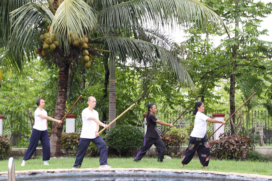 Estipona-Tai-chi-staff-_