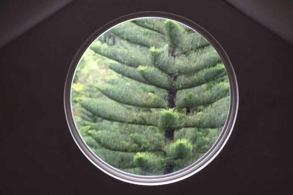 Frangelli-porthole-and-pine