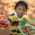 Angkor Wat Child vendor