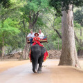 Angkor Wat Elephant with passengers