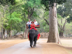 Angkor Wat Elephant with passengers