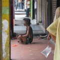 Beggar Yogi