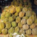 Durian, Durian