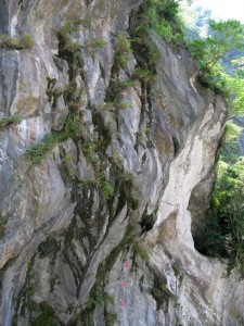 Taroko Rock Textures