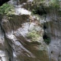 Taroko rock textures