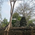 ANGKOR-WAT.RUINS-WITH-TREE.