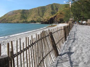 Estipona.-Zambales.-Mansayo