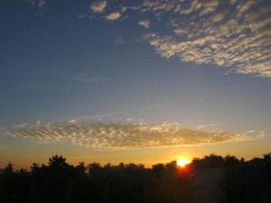 estipona-clouds-golden-fl