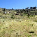 Peru-Lake-Titicaca-Taquile-summit