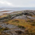 Iceland-marshes