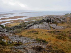 Iceland-marshes